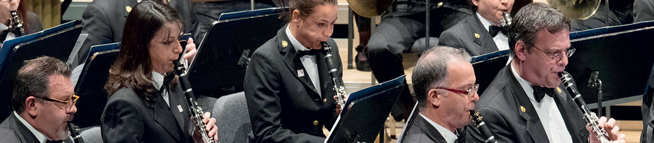 News annuncio concerto primavera 2017